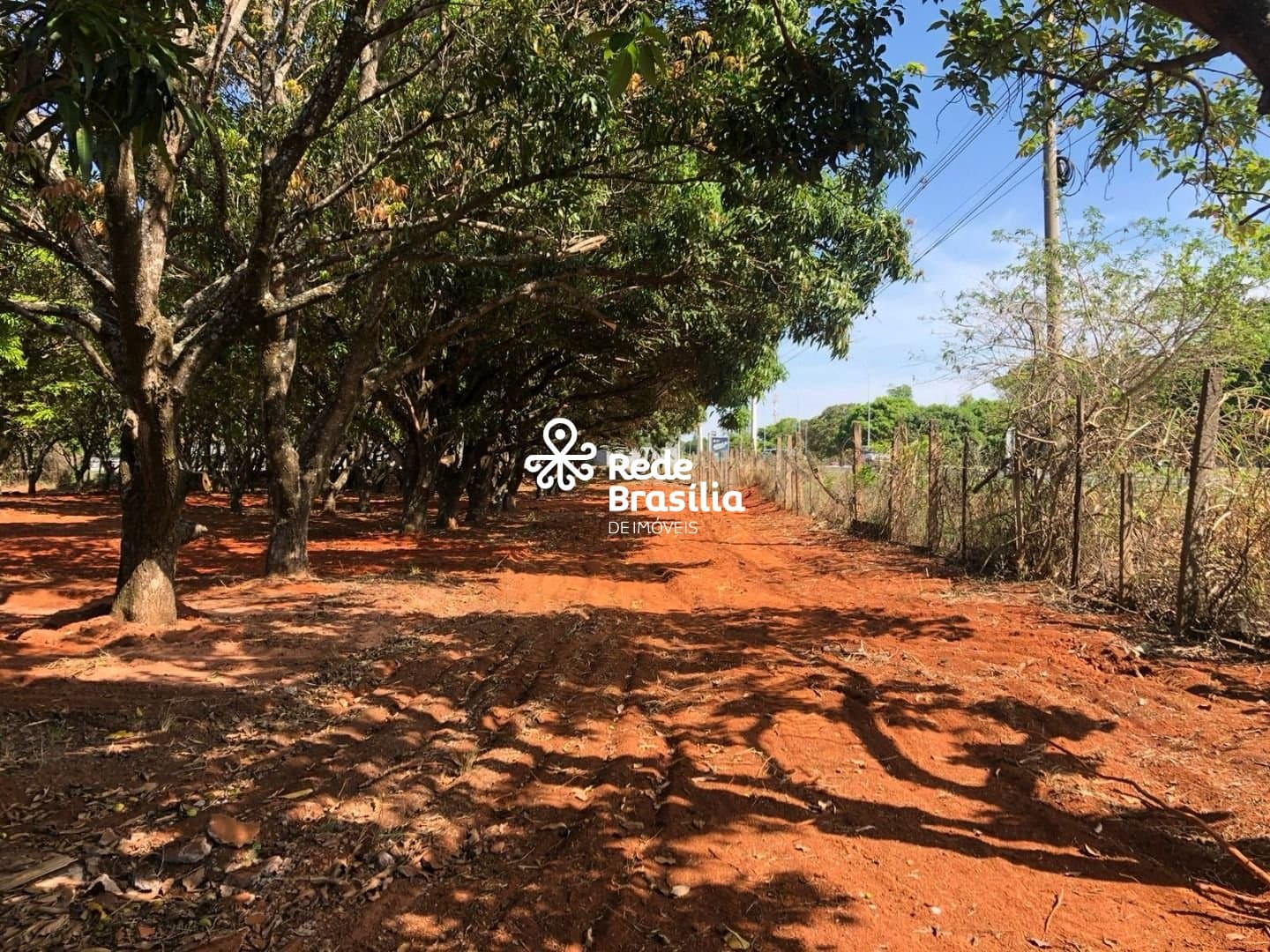 Imagem da propriedade SM804 8