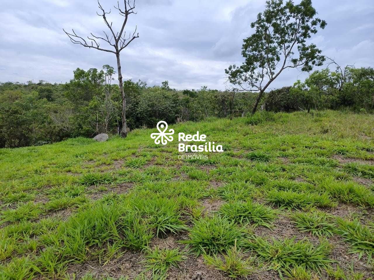 Imagem da propriedade DI699 5